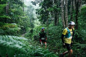 BIB: 
                            <button type="button" onclick="openModal(26359305)" class="btn btn-primary btn-sm float-right btn-popup" data-toggle="modal" data-target=".modal-high-quality">
                        <i class="fas fa-shopping-cart"></i> Add to Cart
                    </button>
                                            <button type="button" onclick="isThisMe(26359305, true)" class="btn btn-success btn-sm float-right btn-popup btn-isme hidden" data-toggle="tooltip" data-placement="bottom" title="นี่คือรูปของคุณใช่ไหม คลิกที่นี่เพื่อเอาเข้าอัลบั้ม">
                        <i class="fas fa-plus"></i> Add to album
                    </button>
                    <button type="button" onclick="isThisMe(26359305, false)" class="btn btn-warning btn-sm float-right btn-popup btn-isnotme hidden">
                        <i class="fas fa-ban"></i> Remove from album
                    </button>